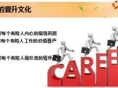 保险公司基本法考核双算快速晋升方案宣导15页.ppt