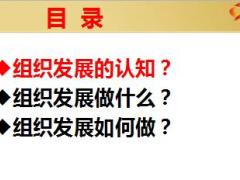 高出勤高举绩模式下团队组织发展工作推动16页.ppt