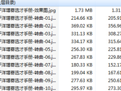 太平洋增募选才手册.rar