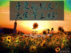 保险公司早会流程片8页.ppt