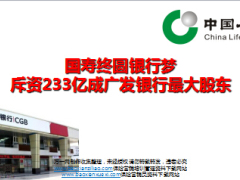 国寿终圆银行梦斥资233亿成广发银行最大股东7页.ppt