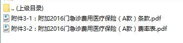 新华人寿附加2016门急诊费用医疗保险A款条款费率表.rar