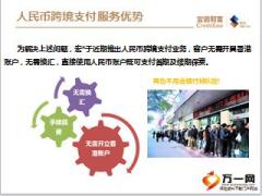 人民币跨境支付业务介绍12页.ppt