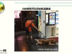 每日快乐早会16年7月8日使用15页.ppt