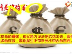 天安人寿吉祥树停售宣导推动片67页.ppt