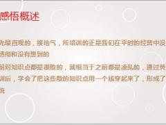 组织发展增员培训训后感悟及计划21页.ppt
