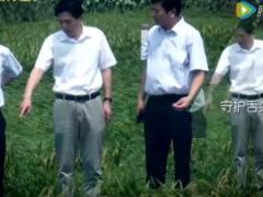 视频浙江保险宣传片保险让生活更美好.rar