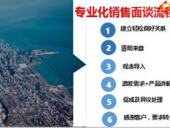 专业化销售流程解决新人见客户的各种问题精美18页.ppt