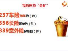 从车险客户开发寿险保单成就件数王15页.ppt