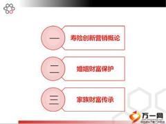 关注变革成就专业寿险营销创新技能概述36页.ppt
