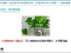 每日健康食盐原来那么厉害20页.ppt