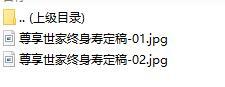 中国人寿尊享世家终身寿险产品彩页.rar