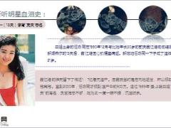 女明星嫁入豪门生活却百般难堪没保险兜底幸福谁买单11页.ppt