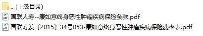 国联人寿康如意终身恶性肿瘤疾病保险条款费率表.rar