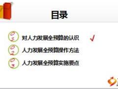 国寿企业家人力发展全预算管理方法要点37页.ppt