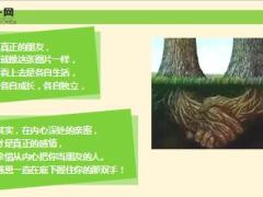 每日心灵鸡汤真正的朋友.rar