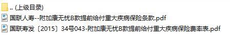国联人寿附加康无忧B款提前给付重大疾病保险条款费率表.rar