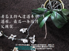 浙江著名主持人祝丹文遭遇车祸不幸遇难8页.ppt