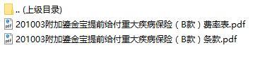 华夏附加鎏金宝提前给付重大疾病保险B款条款费率表.rar