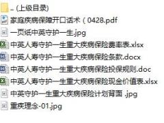 中英人寿守护一生重大疾病保险条款费率现金价值表投保规则话术彩页.rar