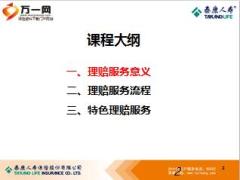 透过理赔看服务泰康版含备注29页.ppt