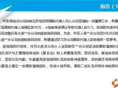 保险营销新模式太保兼职代理人i0项目分析24页.ppt