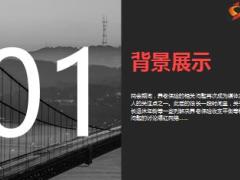 世界这么大保险助你去看看养老问题探讨精美24页.ppt