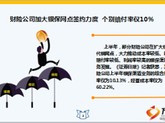 保险周刊47月18日至23日17页.ppt