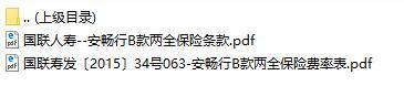 国联人寿安畅行B款两全保险条款费率表.rar
