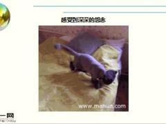 每日快乐早会16年7月27日使用15页.ppt