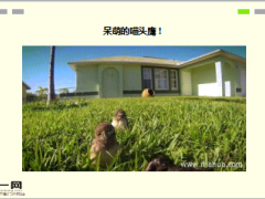 每日快乐早会16年7月29日使用15页.ppt