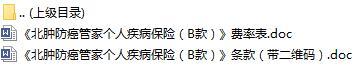 人保北肿防癌管家个人疾病保险B款条款费率表.rar