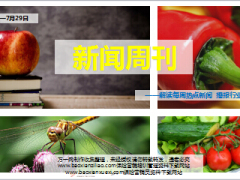 新闻周刊7月23至29日20页.ppt
