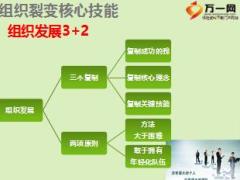 组织发展裂变课程3组织裂变核心技能18页.ppt
