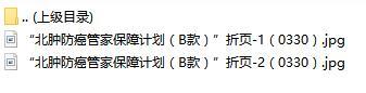 人保健康北肿防癌管家保障计划B款三折页.rar