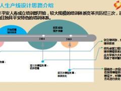 2016年新人生产线培训体系梳理及操作报告37页.ppt