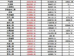 2016年上半年人身保险公司原保险保费收入排名表.xls
