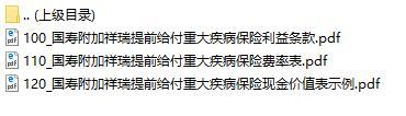 国寿附加祥瑞提前给付重大疾病保险利益条款费率表现金价值.rar