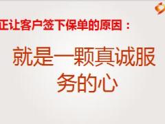 社区经营圈地营销全新社区客户服务的组织运作20页.ppt
