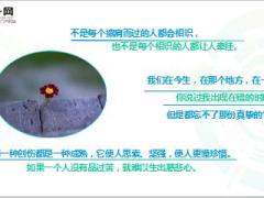 每日心灵鸡汤不忘人恩不念过人不思人非不计人怨.rar
