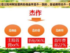 国寿福福满天下产品介绍14页.ppt