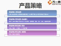国寿福产品策略及目标市场含备注11页.ppt