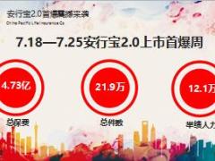 太保安行宝2.0销售典范案例分享早会29页.ppt