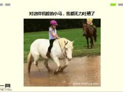 每日快乐早会16年8月8日使用15页.ppt
