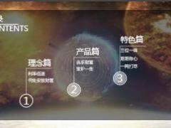 华夏财富宝养老年金保险C款产品培训23页.rar