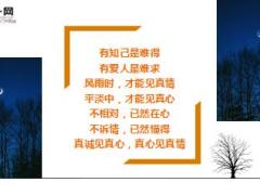 每日心灵鸡汤懂得珍惜舍得放手.rar