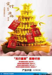 建信人寿龙行富贵保障计划产品手册.rar