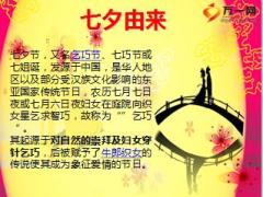2016年浪漫七夕零点送礼业务方案宣导20页.ppt