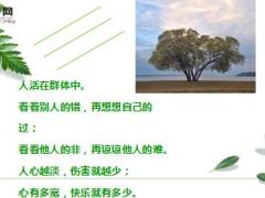 每日心灵鸡汤人心如落叶.rar