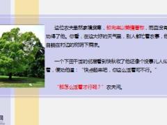 每日保险故事躺在树下的农夫9页.ppt
